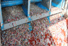 Auto-cleaning Vibrating Screen