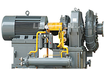 Advanced Vacuum Pump for Paper Mill